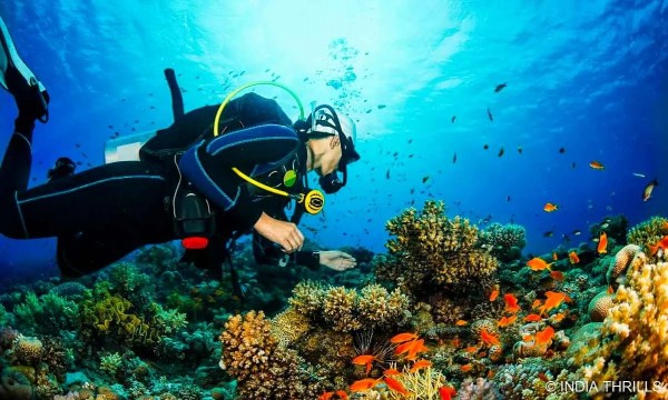 Diving Spot